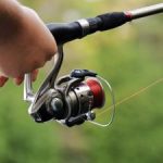 Alcester Fishing Club