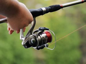 Alcester Fishing Club